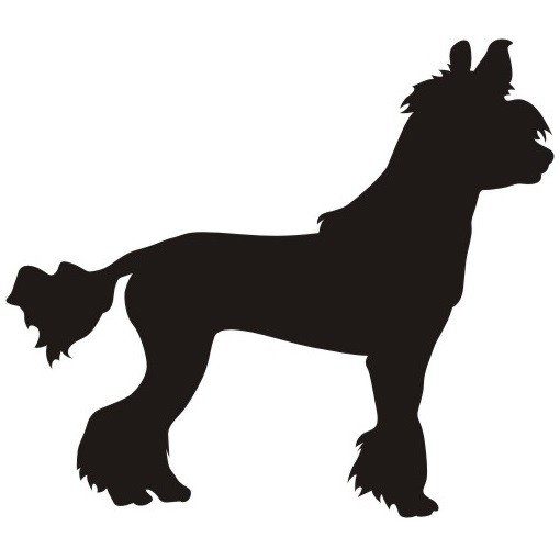 Chinesischer Schopfhund 1 Mini Aufkleber in eigener Farbe & Größe by ANFALAS
